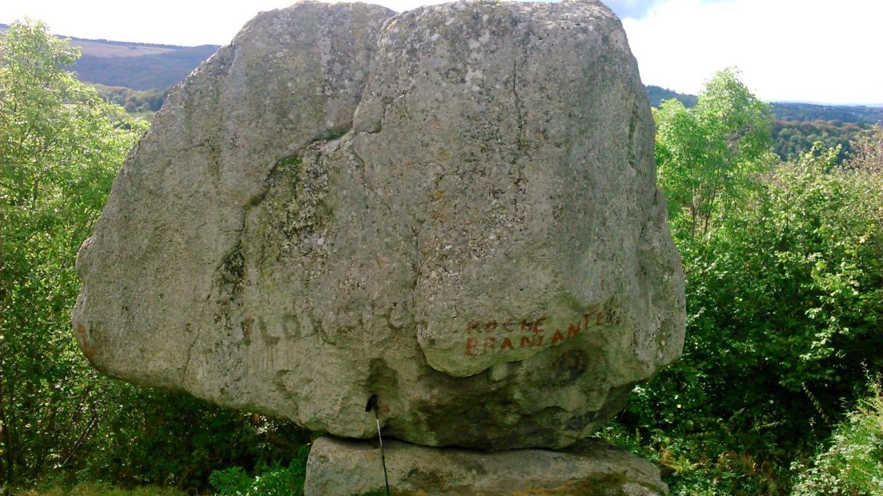 Lilas, Gite Saint Antoine, Orcival, Entre Sancy Et Volcans. Ngoại thất bức ảnh